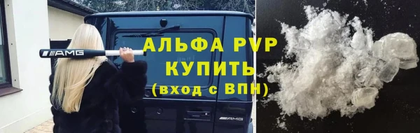 сатива Богданович