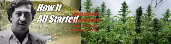 сатива Богданович